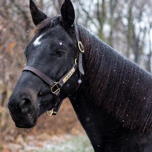 Meet your Posher, Meaghan